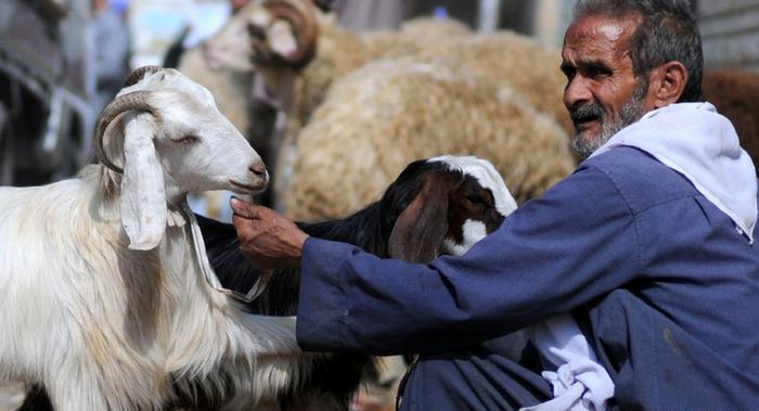 قربانی کا گوشت: ہماری صحت اور دیگر تقاضے